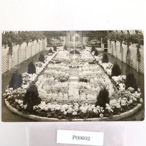 Spring Flower Show Phipps Conservatory Pittsburgh PA 1949 Real Photo Postcard